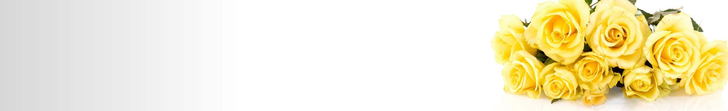 מתחתנים 2500X384